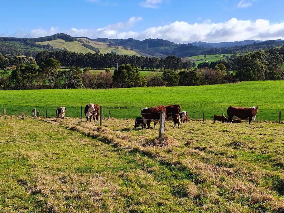 Handsome Hills Dairy Retreat Won Wron Exterior foto